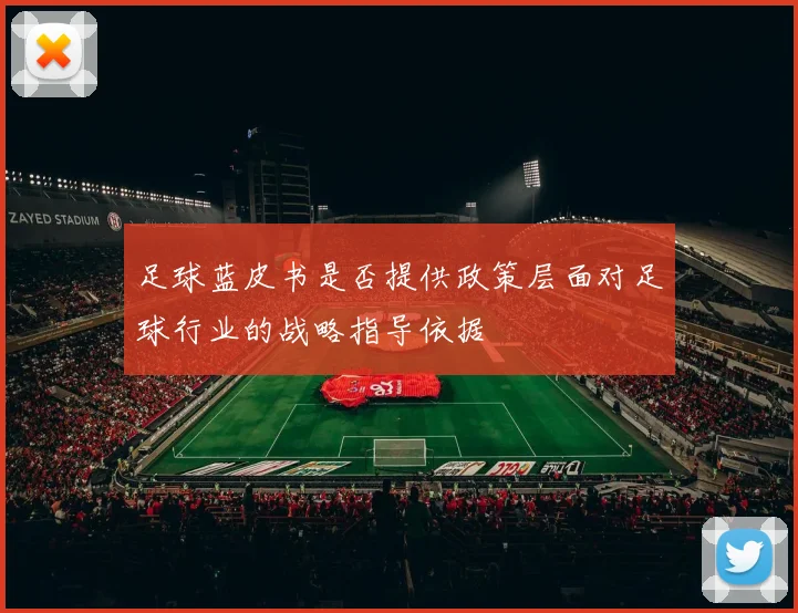 足球蓝皮书是否提供政策层面对足球行业的战略指导依据